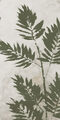 Image Not Available
